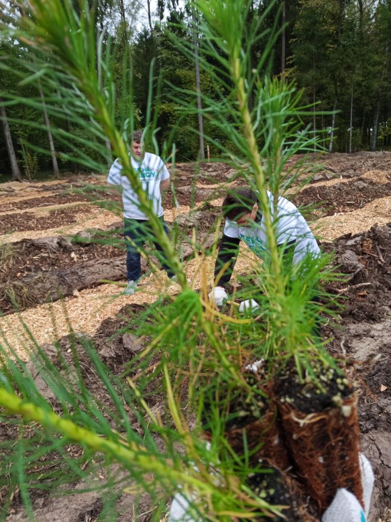 Участие в мероприятиях по высадке деревьев приняли более 1,5 млн человек по всей России и за её пределами