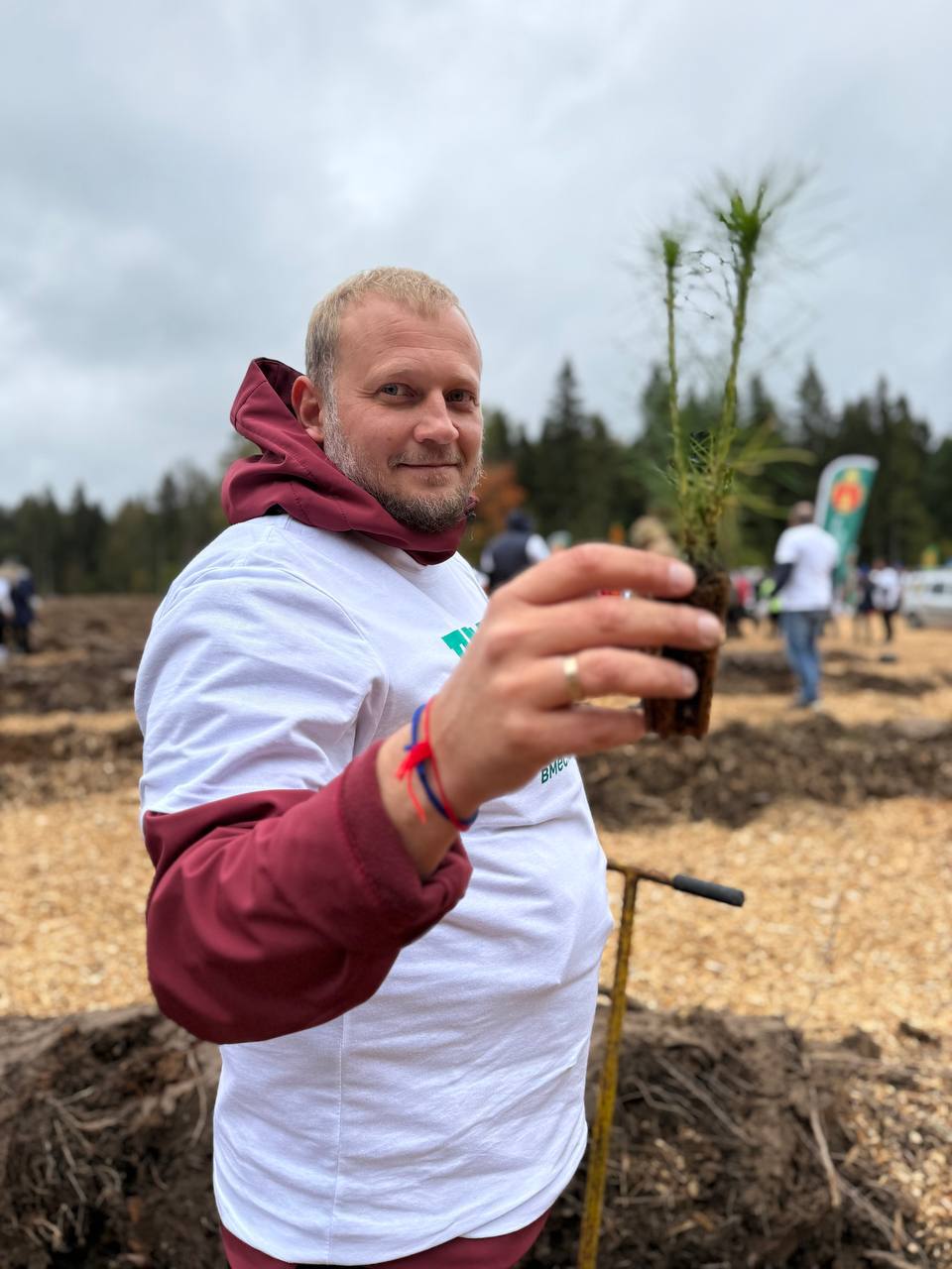 Посадка деревьев, корпоративные эко мероприятия