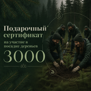Сертификат подарочный 3000