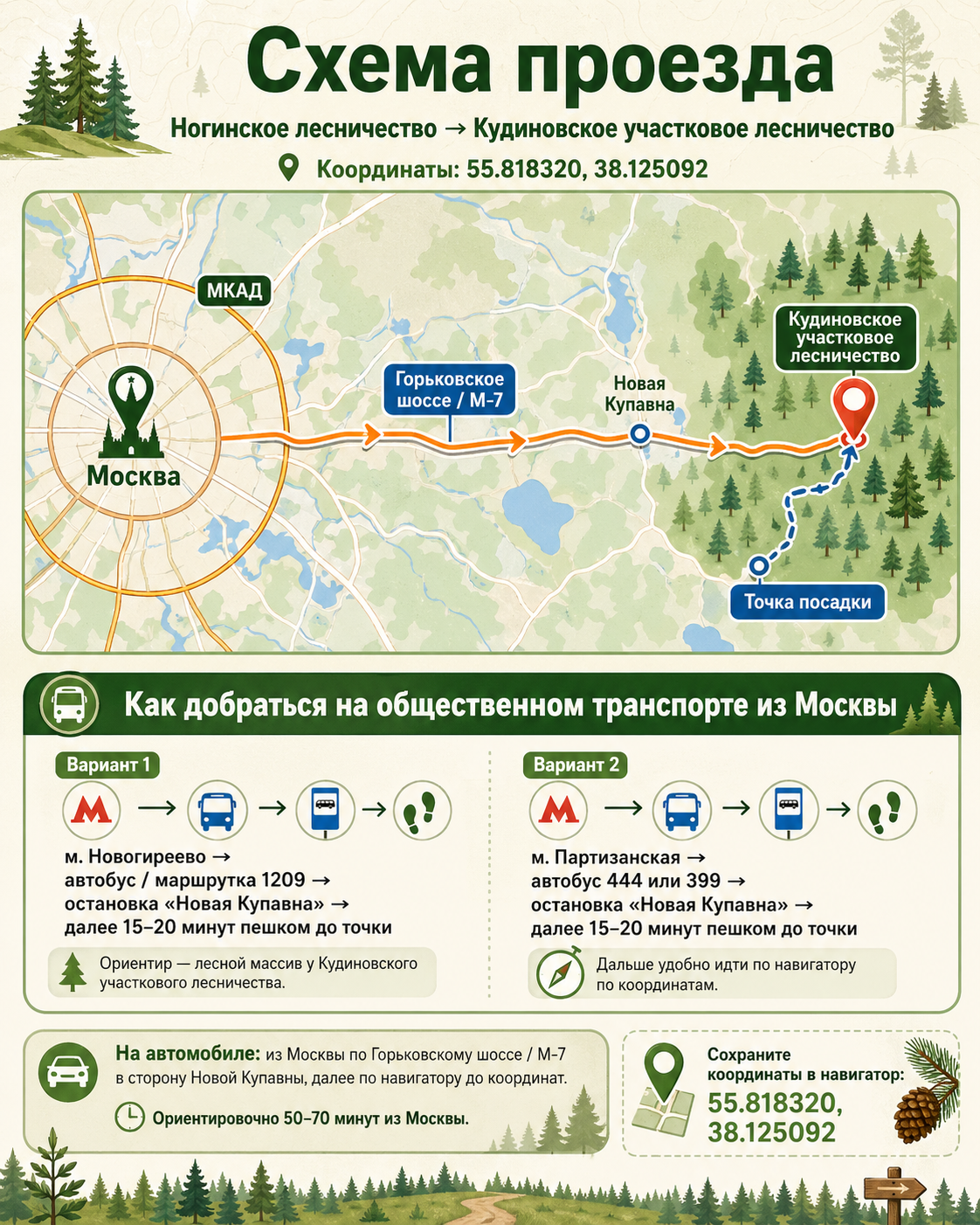 Посади Своё Дерево
