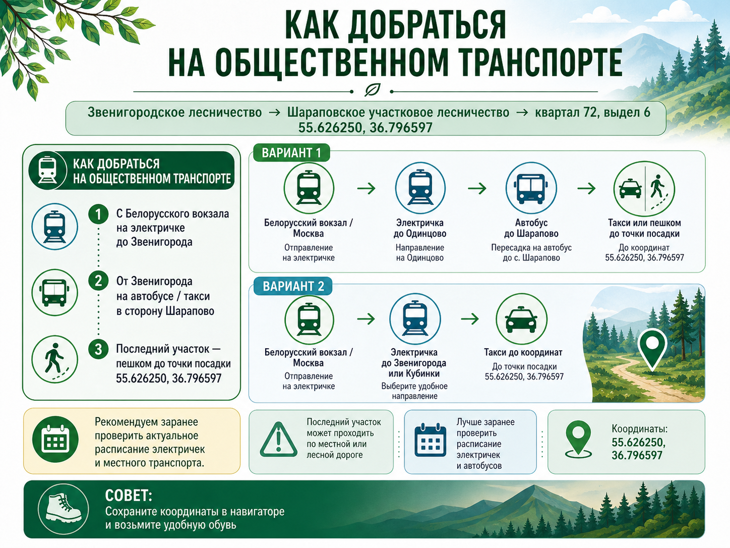 Посади Своё Дерево