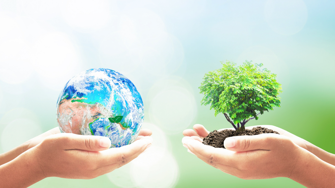 Международный день матери-Земли