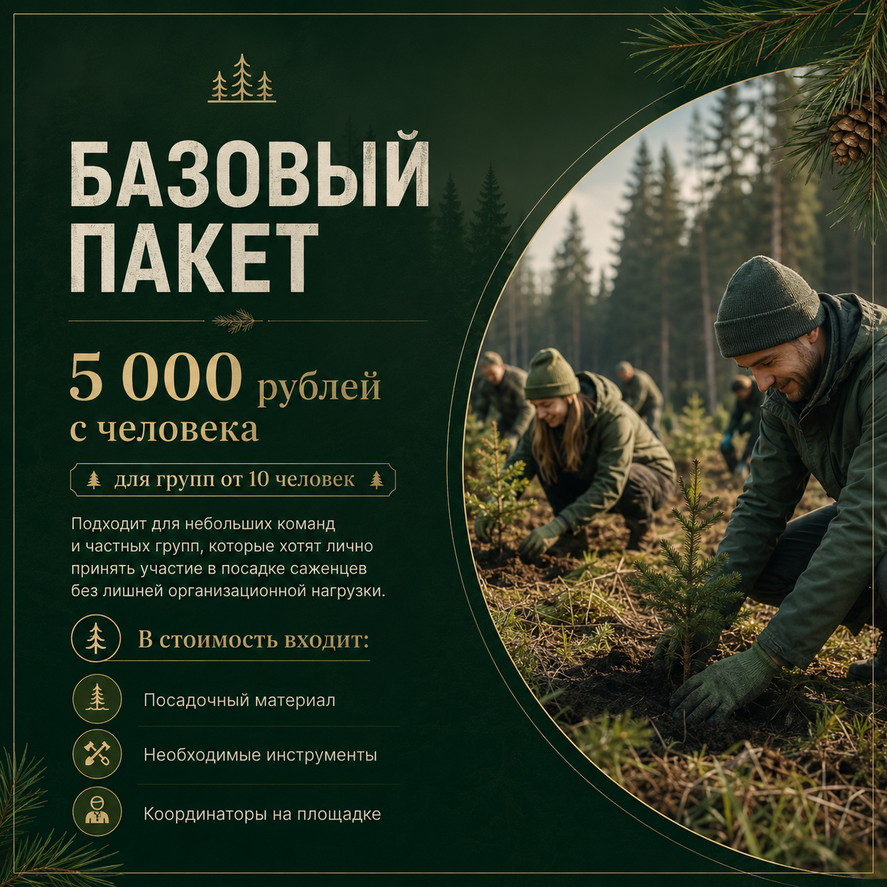 Проведение экомероприятий